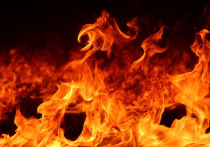 При пожаре в Макеевке погибла женщина
