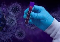 Количество выявленных за сутки случаев заболевания коронавирусом в Забайкалье снова увеличилось