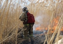 В ГУ МЧС России по Хабаровскому краю озвучили статистику пожаров за прошедшие сутки