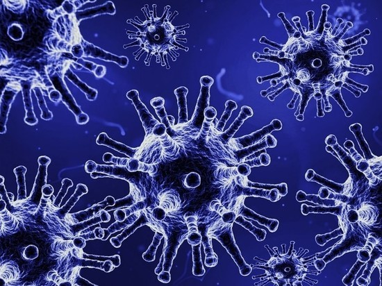 Почти 200 человек заразились коронавирусом за сутки в Забайкалье