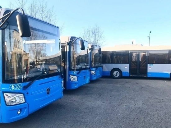Муниципальные автобусы в Чите простаивают из-за нехватки водителей