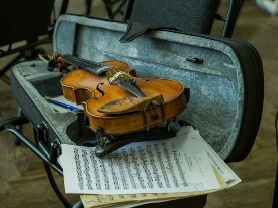 Международный фестиваль «Дни Германии в Тамбове» откроют концертом оркестра исторических инструментов