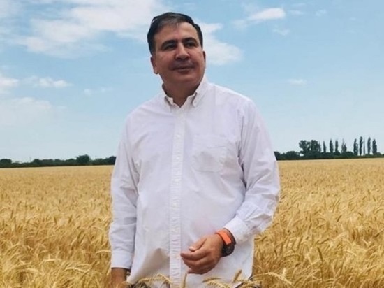 Саакашвили попал в Грузию в фуре с зеленью