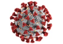 ВОЗ обнародовала данные о заболеваемости коронавирусом в мире