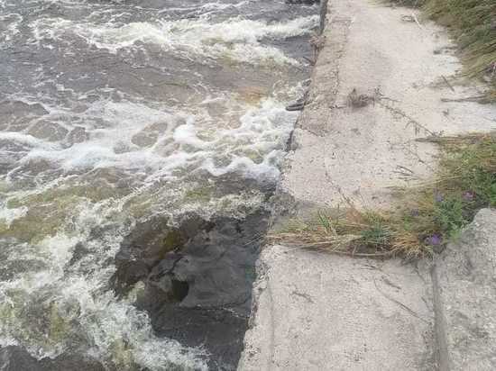 Около 50 участков подтопило грунтовыми водами в Чернышевском районе