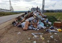 Сити-менеджер Читы Александр Сапожников 4 октября на оперативном совещании оценил работу регионального мусорного оператора на твердую «двойку» и заявил, что город начал зарастать отходами