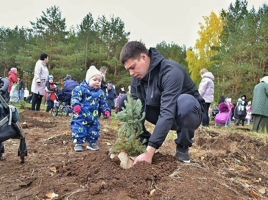 150 именных деревьев появилось в Нижнекамске в честь родившихся в 2021 году детей