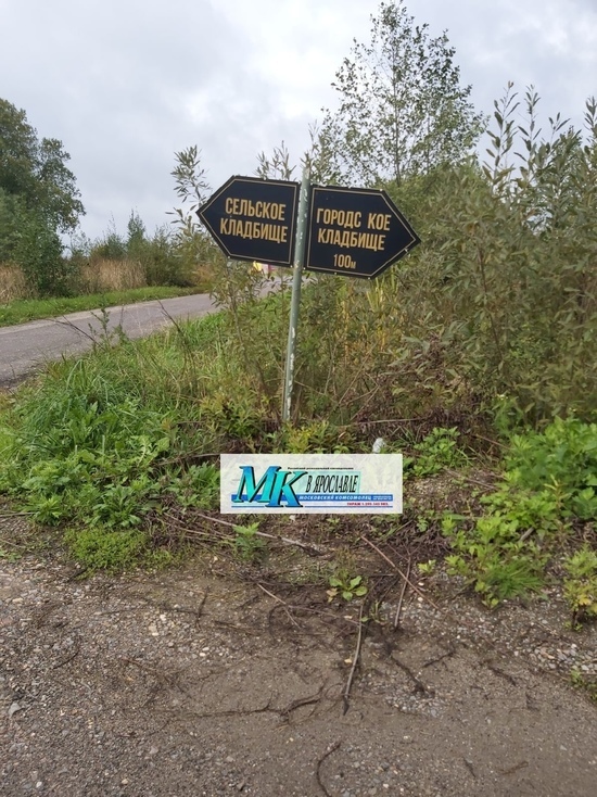 Ярославские власти забыли про кладбище на Селифонтово