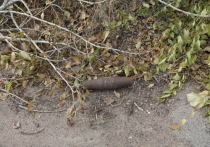 4 октября при уборке территории строительной организации на улице Забайкальская в столице Бурятии  был обнаружен предмет,  который конструктивно схож со снарядом