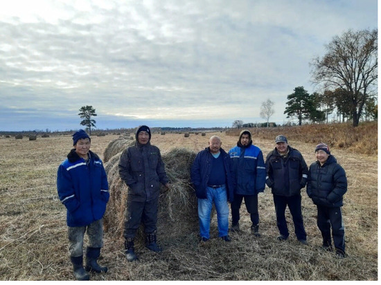 Якутская бригада в Амурской области заготовила 800 тонн сена