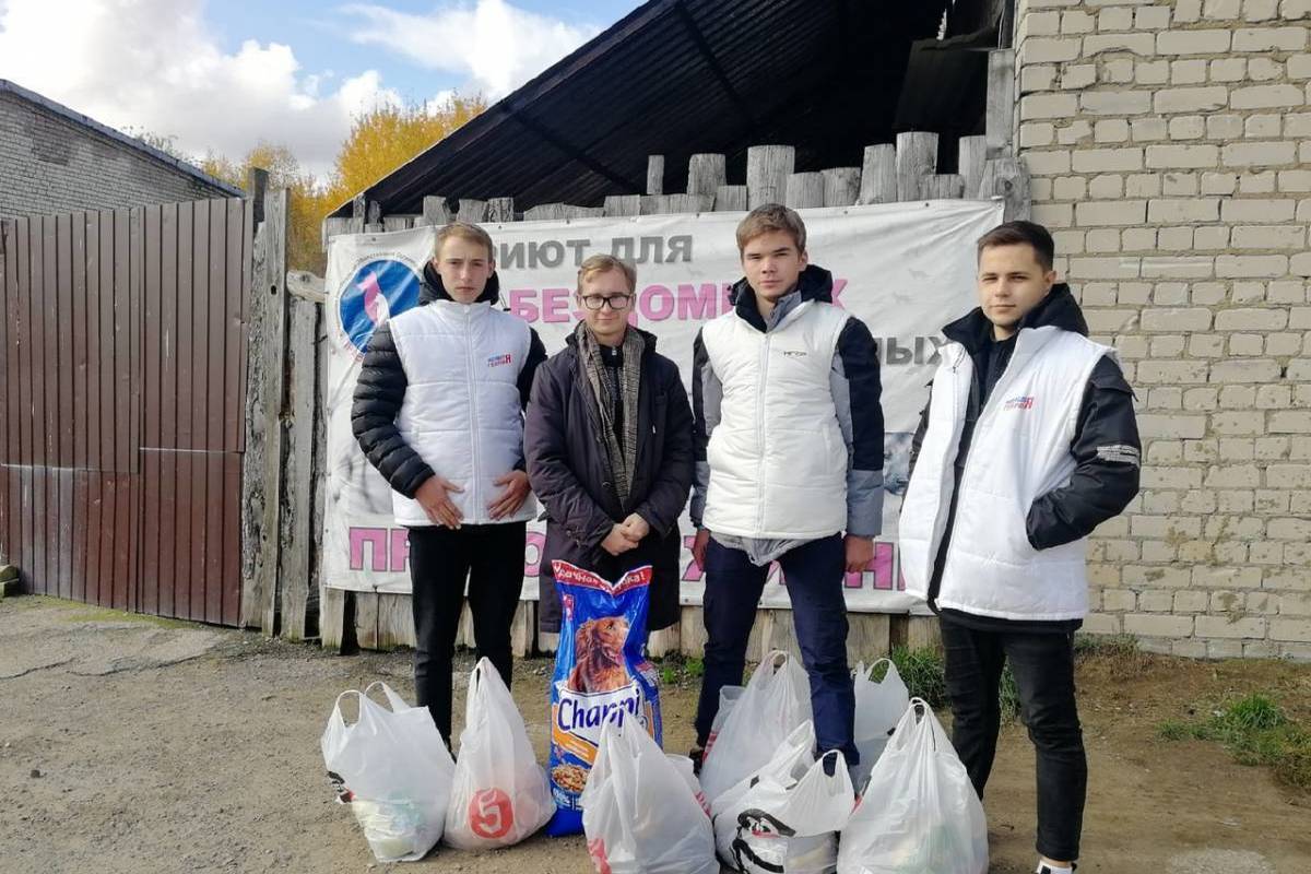 Молодогвардейцы Костромы и Нерехты привезли в приют «Право на жизнь» более 100 кг корма