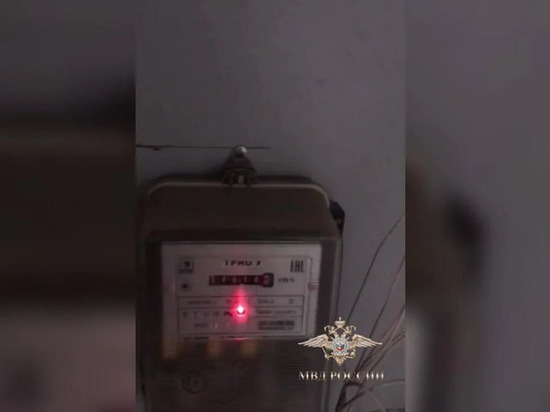 В Ленобласти за тайное потребление электричества закрыли майнинговую ферму