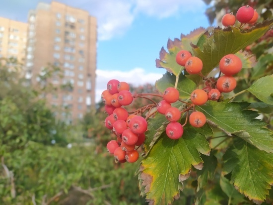 Экологи из 4 стран мира соберутся в Донецке на конференцию