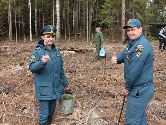 Ивановские спасатели и пожарные приняли участие в акции "Сохраним лес"