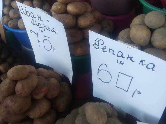 Власти ДНР займутся регулированием цены на картофель в Донецке