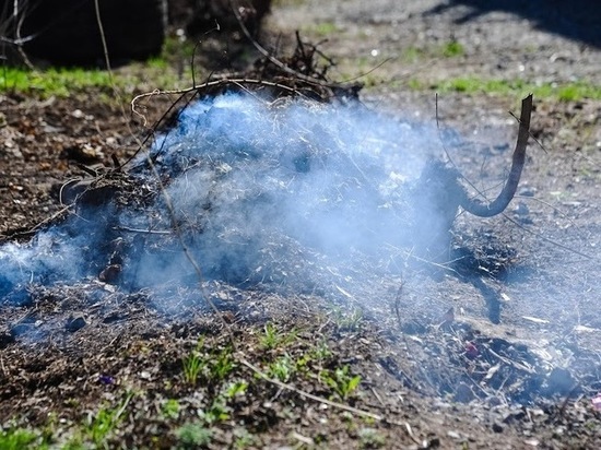 Астраханцев предупредили о запахе гари из-за степного пожара в Казахстане