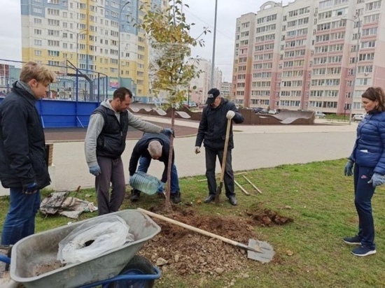 В Иванове, в микрорайоне Московский, высадили спиреи и яблони