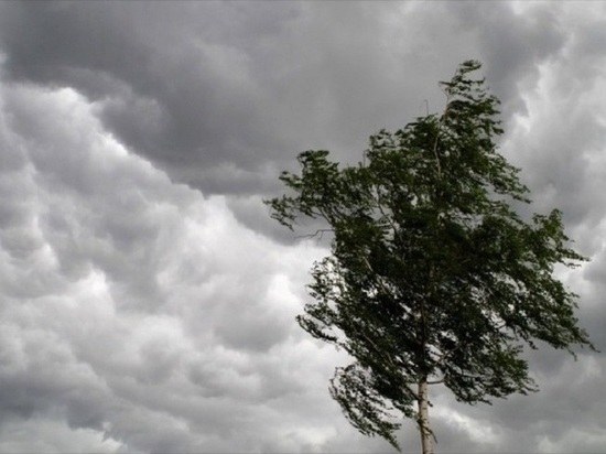 В Мурманской области сильный ветер сохранится до конца суток