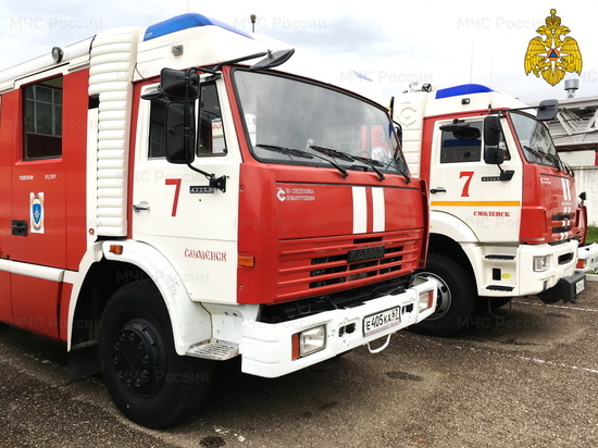 Пожарные в Смоленске унесли из квартиры диван