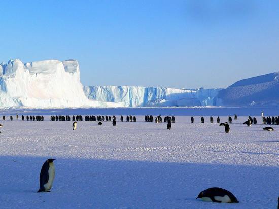 На Южном полюсе завершилась самая холодная в истории наблюдений зима