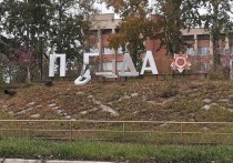 В Краснокаменске неизвестные разрушили надпись «Победа» и искуссвтенные деревья в парке Покровского