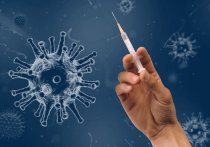 За прошлые сутки в Забайкалье коронавирус выявлен у 187 человек, вылечены 206, подтверждено 5 летальных случаев