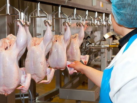 Ставрополье начнет поставлять мясо птицы в Африку и на Ближний Восток