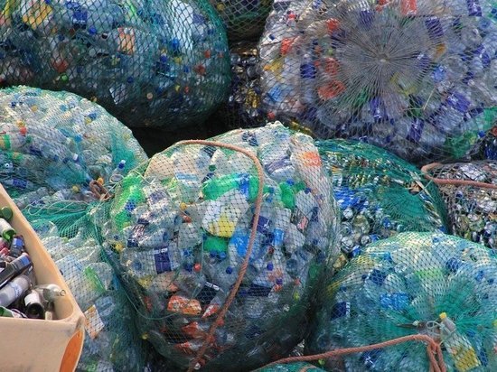 13 млн рублей получит Псковская область на покупку контейнеров для раздельного сбора мусора