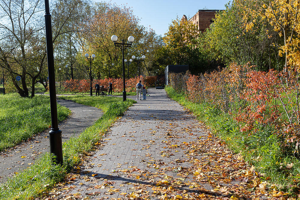 «Листья жёлтые над городом кружатся»: осенний Псков поразил красотой