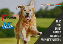 «МК в Питере» объединит бегунов и любителей животных 9 октября в Муринском парке (проспект Луначарского)
