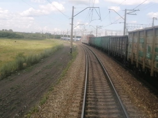 В Кузбассе поезд насмерть сбил трех лошадей