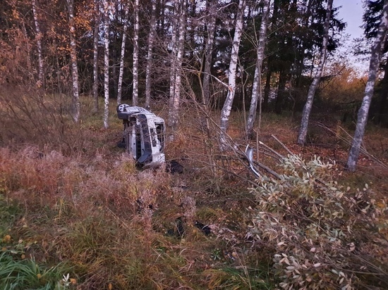 В Тверской области иномарка легла на бок