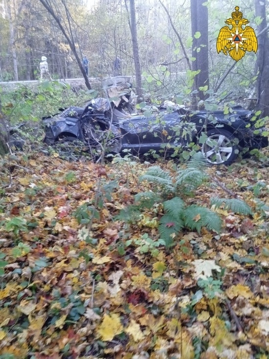 Два человека погибли в улетевшей в кювет Audi в Жиздринском районе