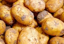 Стоимость картофеля в Алтайском крае выросла вдвое по сравнению с сентябрем