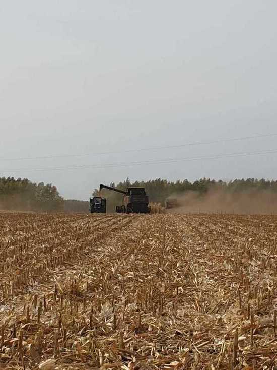 Тамбовские хлеборобы намолотили 3 миллиона тонн зерна