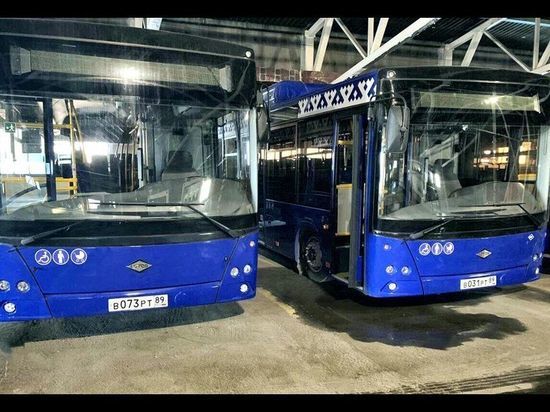 Кондиционер, видеокамера, электронное табло: 40 новых автобусов до конца года появятся в городах ЯНАО