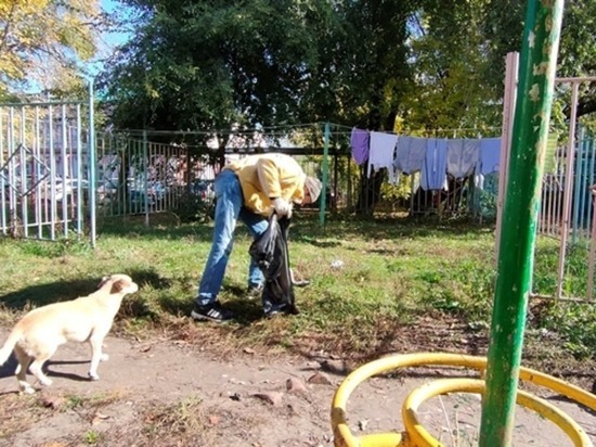В Пензе привели в порядок световые опоры и стены зданий