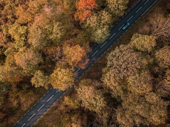 Прокуратура обратилась в суд, чтобы лишить жительницу Карелии водительских прав