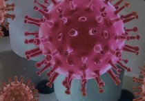 В Забайкалье за последние сутки выявлен 201 новый случай заражения коронавирусной инфекции