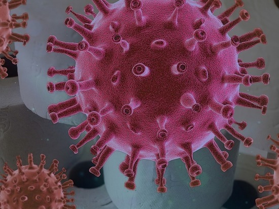Более 200 человек заразились коронавирусом в Забайкалье за сутки