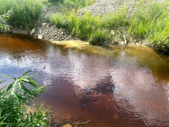 Золотодобытчиков наказали за загрязнение кузбасских рек