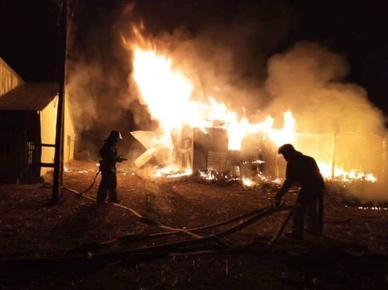 На башкирской ферме при пожаре погибли 20 телят