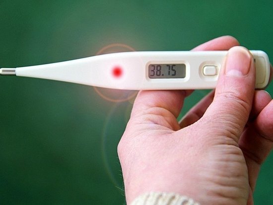 С 1 сентября в РТ от учебы из-за ОРВИ были отстранены 10,5 тысяч школьников