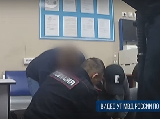Пьяный челябинец устроил драку с полицейским в аэропорту Новосибирска