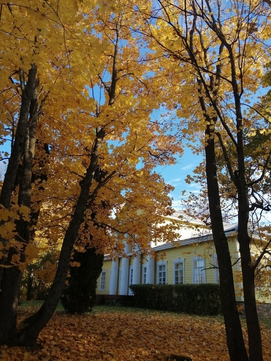 Чарующие снимки золотой осени в музее-усадьбе Мусоргского показали псковичам