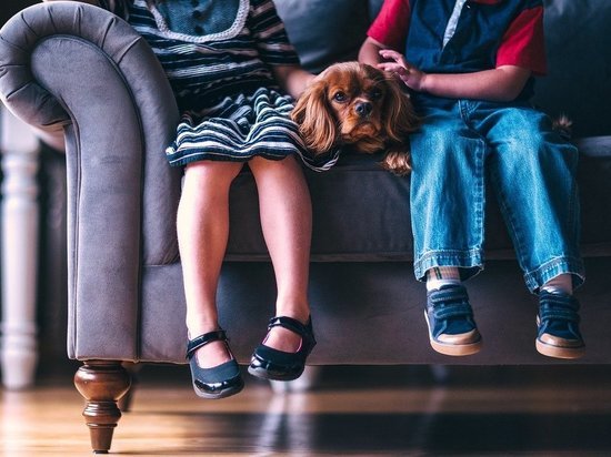 Жители ДНР чаще всего называют детей Сашами и Софиями