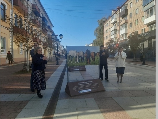 В Брянске открылась фотовыставка под открытым небом