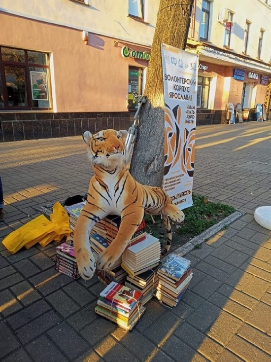 На улицах Ярославля бесплатно раздавали книги