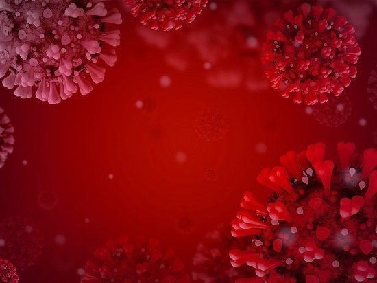 В случае выявления вспышек заболевания на карельских предприятиях непривитых отстранят