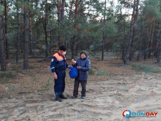 В Ростовской области пенсионерка пошла в лес за грибами и заблудилась